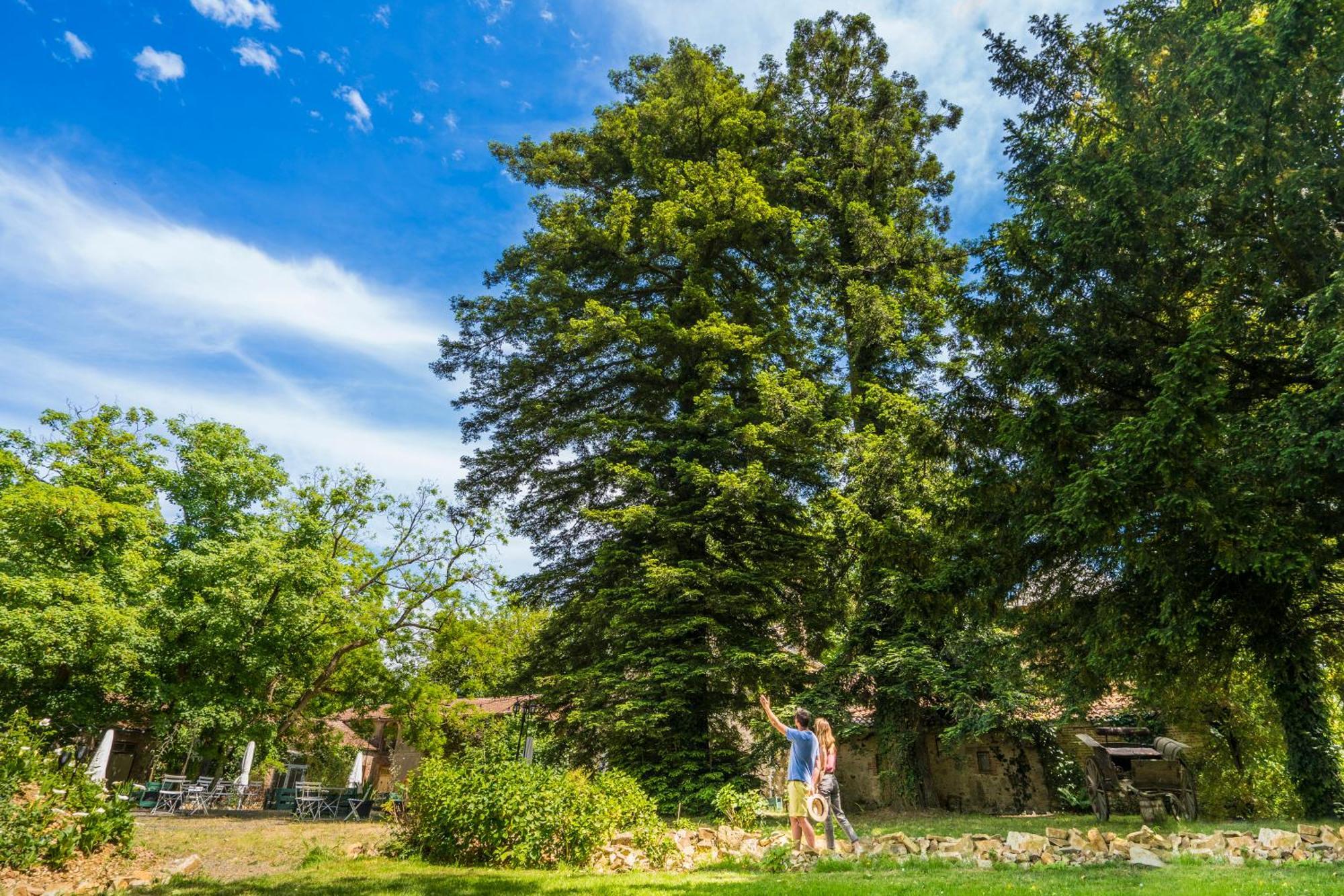 Chateau De La Tourlandry Chemille-en-Anjou Exterior foto